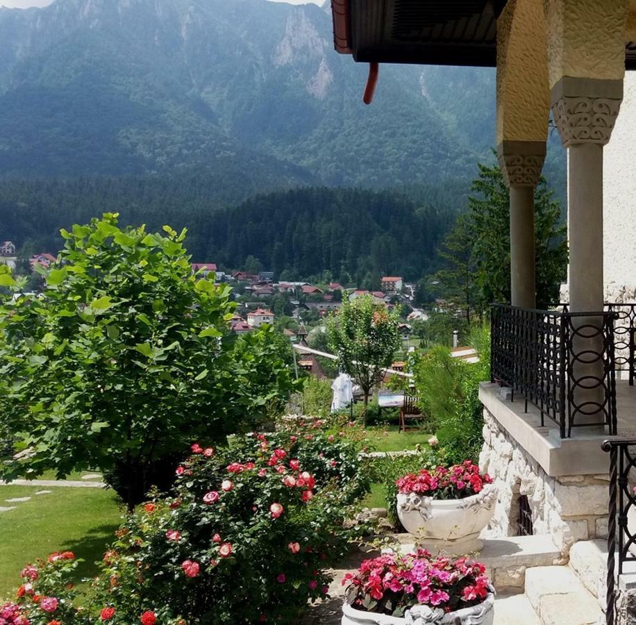 Vila Leonida - Resort Leonida Buşteni Exteriör bild